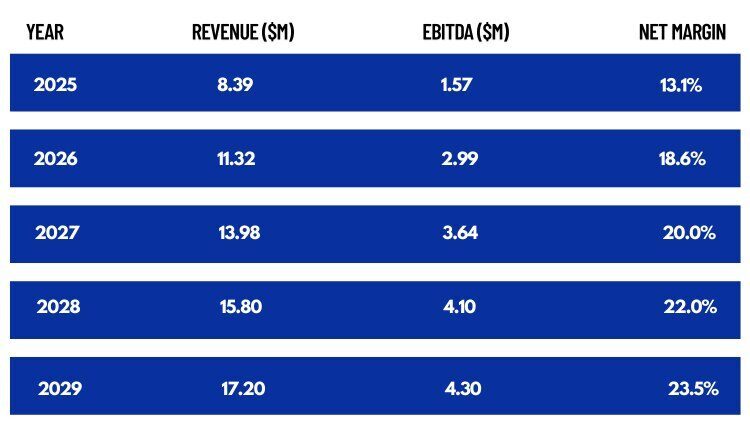 Bloomclicks Financial Projections Year Bloomclicks Financial Projections Year